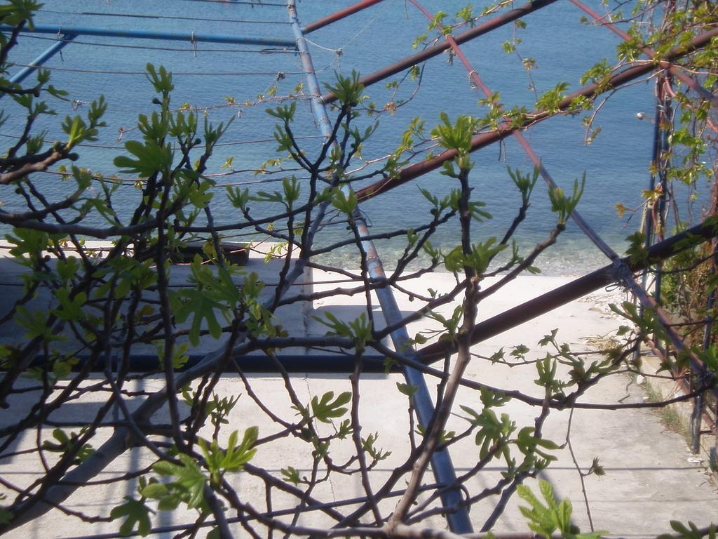 פודסטראנה Apartments Karaman חדר תמונה